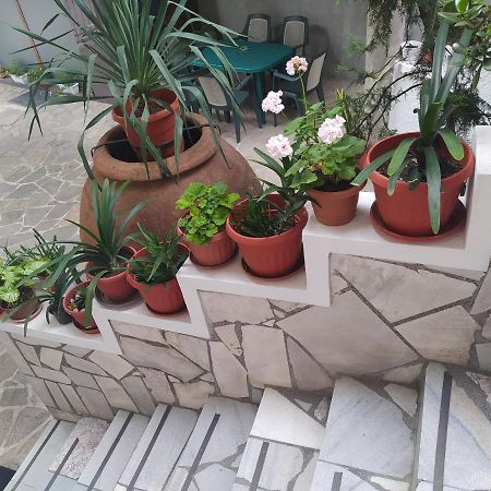 Каламанди Asenovgrad Exterior foto