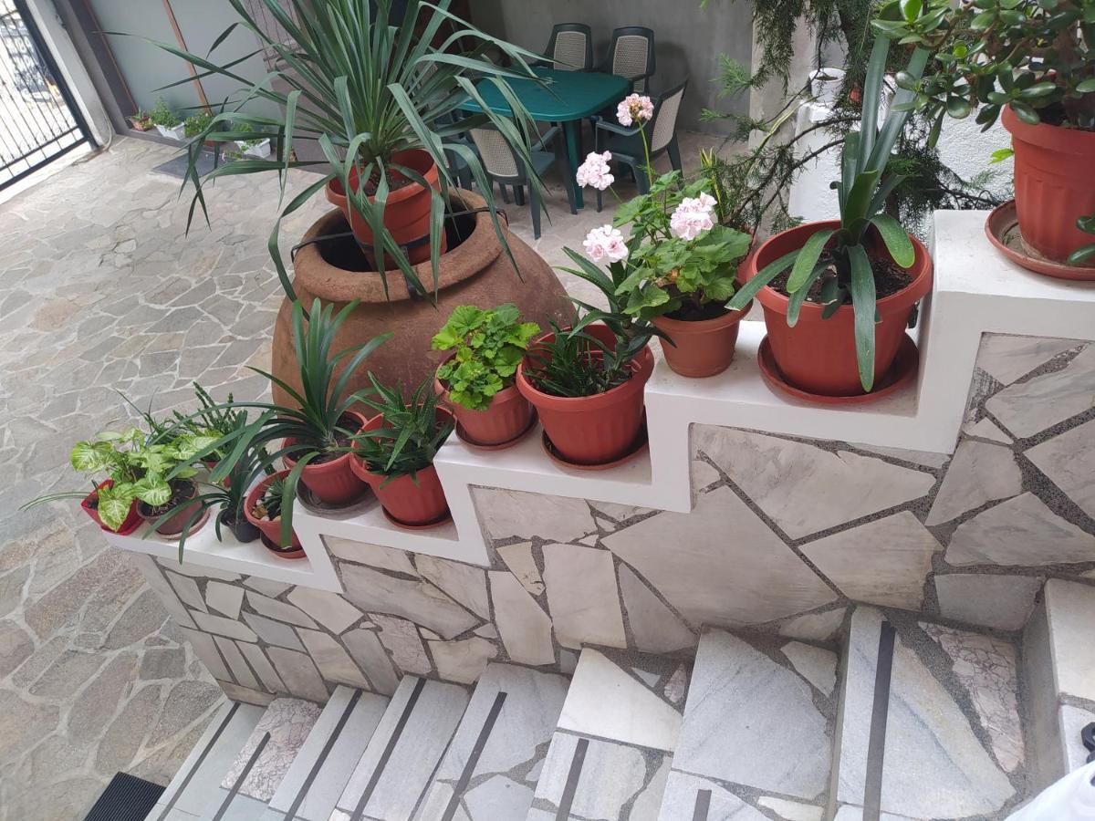 Каламанди Asenovgrad Exterior foto